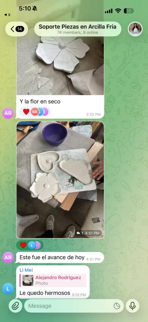 Testimonio del curso de Piezas Decorativas en Arcilla Fría Creado por Gabriela Vargas